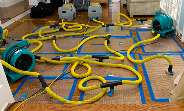 Professional Crawl Space Water Removal technician working in Lacarne, OH